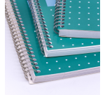 Collegeblok Pukka Pad Jotta A4 lijn 4-gaats 200 pagina's 80gr groen