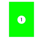 Etiket Rillprint 210x297mm fluorgroen 100 etiketten