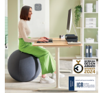 Ballon d'assise Leitz Ergo anti-basculement 55cm gris foncé