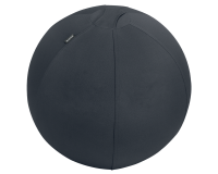 Ballon d'assise Leitz Ergo anti-basculement 55cm gris foncé