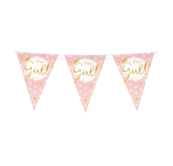 Drapeaux Pary Foil It's a girl!