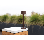 Lampe de table MAULnina LED batterie rechargeable dimmable marron