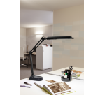 MAULatlantic LED desk lamp with black base