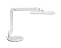 Werkpleklamp MAUL Intro LED dimbaar op voet wit