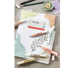 STABILO Swing Cool NatureCOLORS highlighter rust orange
