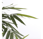 Plante artificielle Mica Bambou Pot plastique 150x75cm