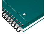 Cahier à spirale Oxford International Notebook A4+ ligné 160 pages vert