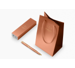 IM Rituals Orange Fountain Pen GT Medium