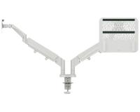 Leitz Ergo dual arm for monitor and laptop low footprint gray