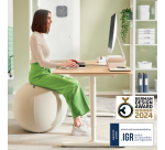 Ballon d'assise Leitz Ergo anti-basculement 75cm design