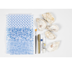 <!DOCTYPE html>
<html lang="en">
<head>
    <meta charset="UTF-8">
    <meta name="viewport" content="width=device-width, initial-scale=1.0">
    <title>Translation</title>
</head>
<body>
    <p>Set Hobby Creative Company oyster shell</p>
</body>
</html>