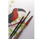 Tekenblok Clairefontaine Paint On A4 40 vel 250gr