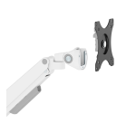 Neomounts DS70-250WH1 Monitor Mount to Attach 17-35" - Gas Spring - Topfix - 180° Stop