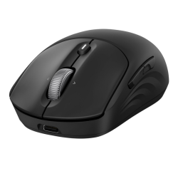 HP 705 Rechargeable Wireless Mouse EMEA souris