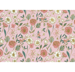 Rouleau pour appareil Poppy 200mx30cm