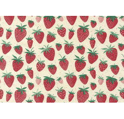 Rouleau pour appareil Strawberry 200mx50cm