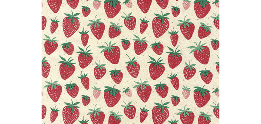 Rouleau pour appareil Strawberry 200mx50cm