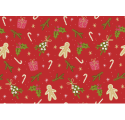 Rouleau pour appareil Gingerbreadman rouge 200mx50cm