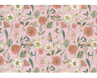 Rouleau pour appareil Poppy 200mx50cm