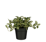 Artificial plant Mica Tradescantia green pot 16x16cm