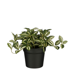 Plante artificielle Mica Tradescantia pot vert 16x16cm