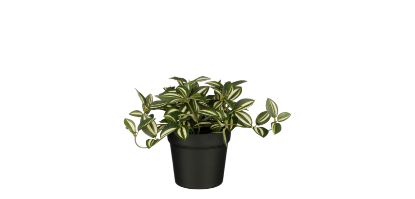 Plante artificielle Mica Tradescantia pot vert 16x16cm