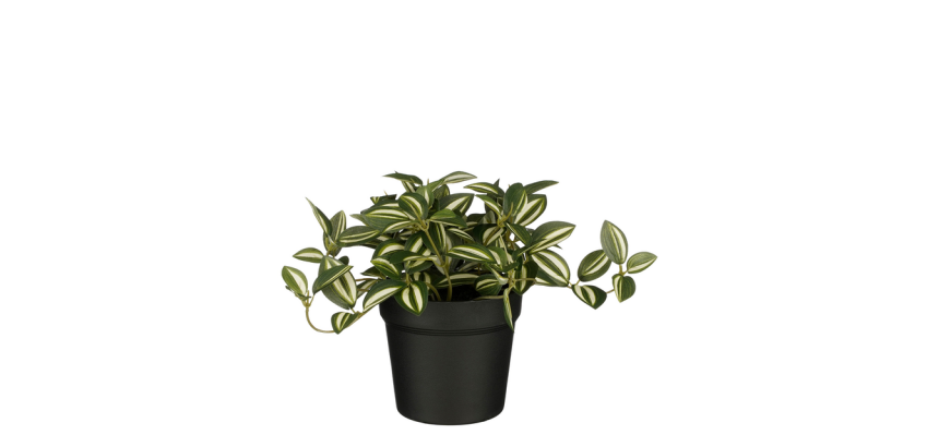 Artificial plant Mica Tradescantia green pot 16x16cm
