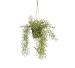 Künstliche Pflanze Mica Rhipsalis hängend grüner Topf Ø9,5cm 40x20cm