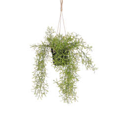 Plante artificielle Mica Rhipsalis suspendue pot vert Ø9,5cm 40x20cm