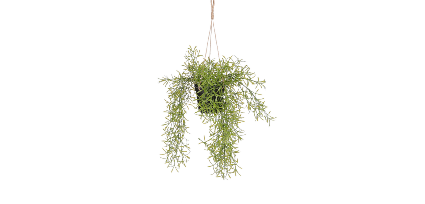 Artificial Mica Rhipsalis plant hanging green pot Ø9.5cm 40x20cm