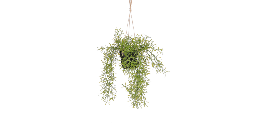 Künstliche Pflanze Mica Rhipsalis hängend grüner Topf Ø9,5cm 40x20cm