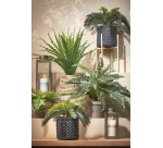Kunstplant Mica Boston varen groen in pot Ø50cm 42cm