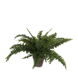 Plante artificielle Mica Boston fougère verte en pot D13,5cm Ø50cm 42cm