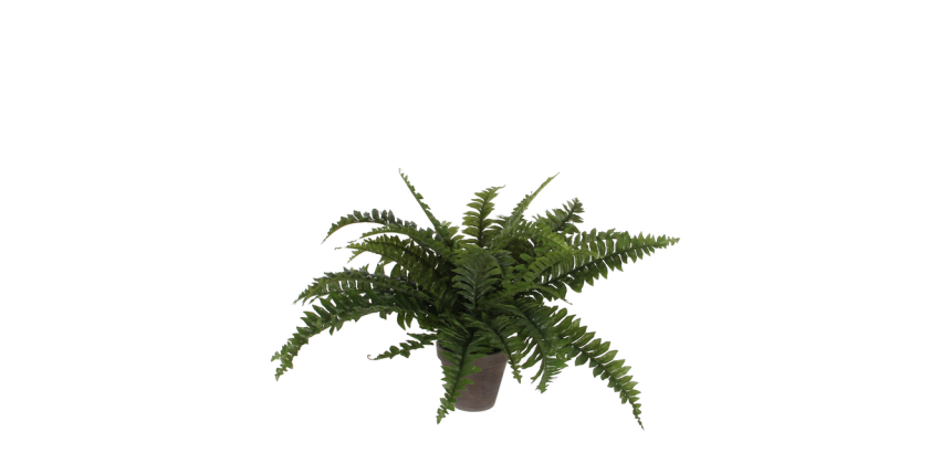 Kunstplant Mica Boston varen groen in pot Ø50cm 42cm