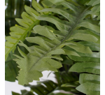 Kunstplant Mica Boston varen groen in pot Ø50cm 42cm