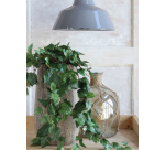 Plante artificielle Mica Scindapsus suspendue verte Ø25cm 45cm