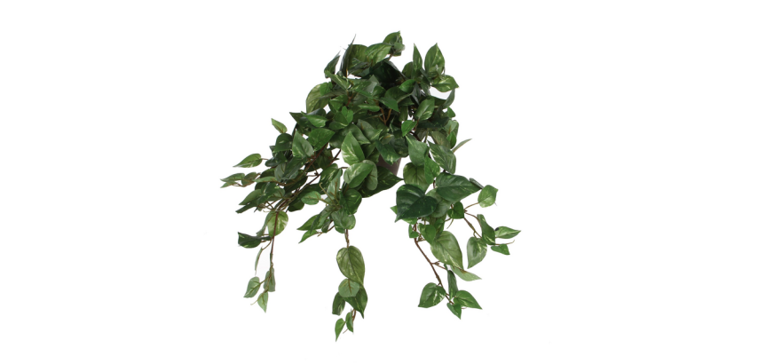 Plante artificielle Mica Scindapsus suspendue verte Ø25cm 45cm