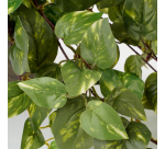 Plante artificielle Mica Scindapsus suspendue verte Ø25cm 45cm