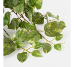 Plante artificielle Mica Scindapsus suspendue verte Ø25cm 45cm