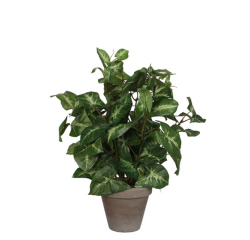 Plante artificielle Mica Syngonium verte en pot Ø25cm 35cm
