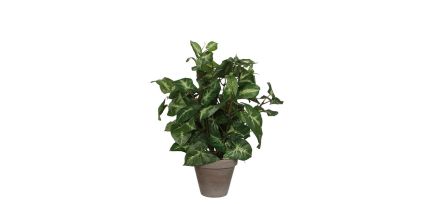 Kunstplant Mica Syngonium groen in pot Ø25 35cm