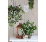 Kunstplant Mica Syngonium groen in pot Ø25 35cm