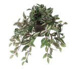 Artificial plant Mica Tradescantia hanging green Ø25cm 45cm
