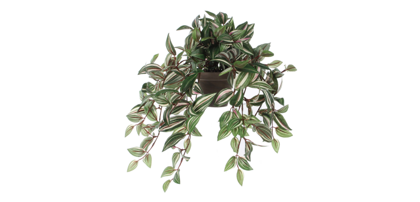 Plante artificielle Mica Tradescantia suspendue verte Ø25cm 45cm