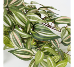 Artificial plant Mica Tradescantia hanging green Ø25cm 45cm