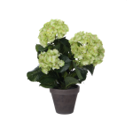 Plante artificielle Mica Hortensia vert Ø35 40cm