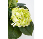 Plante artificielle Mica Hortensia vert Ø35 40cm