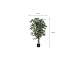 Plante artificielle Mica Ficus verte en pot plastique Ø85cm 150cm