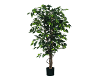Plante artificielle Mica Ficus verte en pot plastique Ø85cm 150cm
