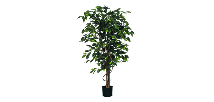 Artificial Plant Mica Green Ficus in Plastic Pot Ø85cm 150cm